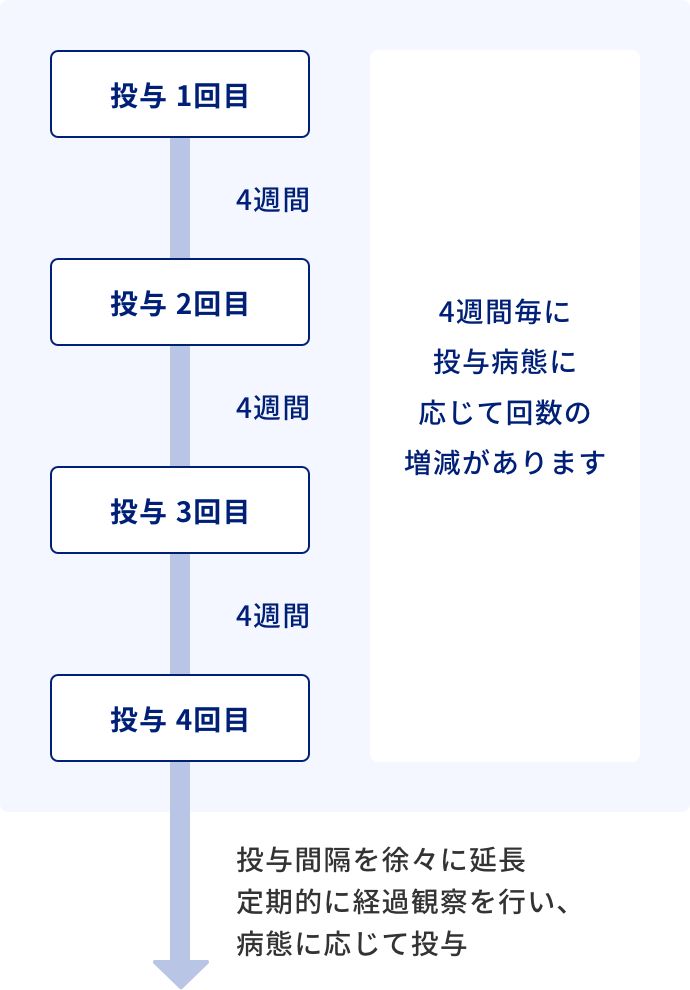 黄斑疾患治療のスケジュール